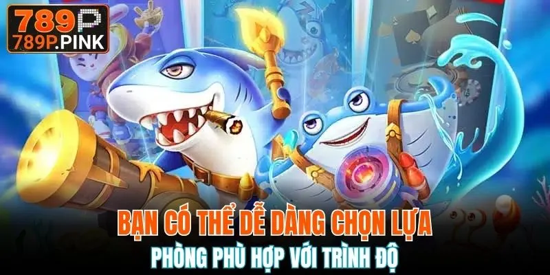 Bạn có thể dễ dàng chọn lựa phòng phù hợp với trình độ