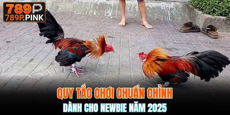Quy tắc chuẩn chỉnh dành cho thành viên khi chọi kê